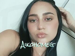 Aikohomeg