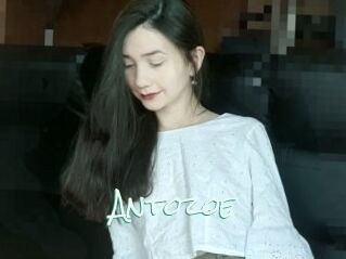 Antozoe