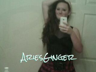 AriesGinger