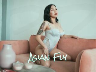 Asian_Fly