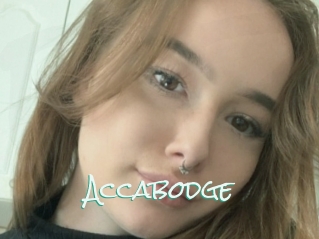 Accabodge