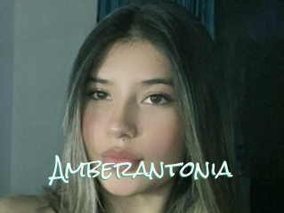 Amberantonia