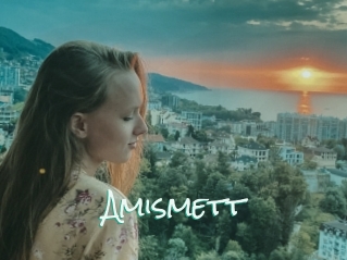 Amismett