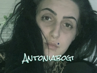 Antoniabogi