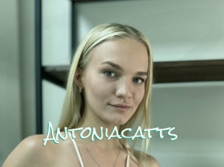 Antoniacatts