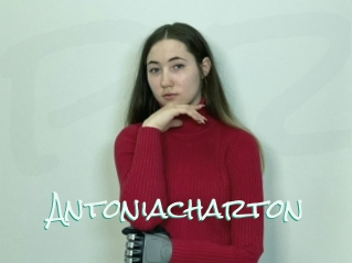 Antoniacharton