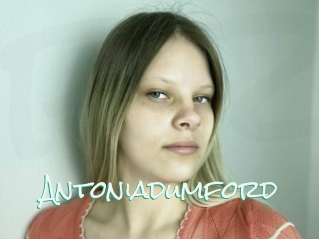 Antoniadumford