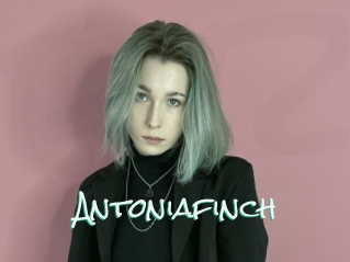 Antoniafinch