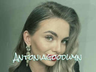 Antoniagoodwyn