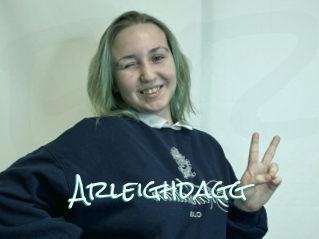 Arleighdagg