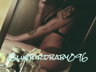 Bluebirdbaby096