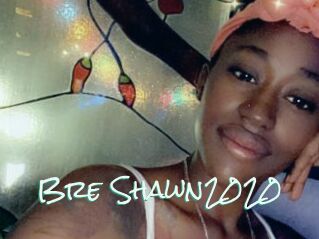 Bre_Shawn2020