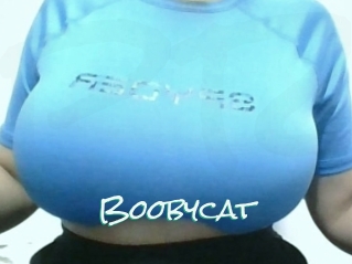 Boobycat