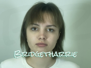 Bridgetharrie