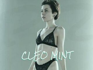 CLEO_MINT