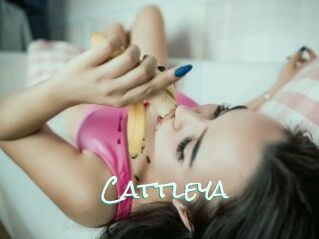 _Cattleya