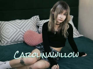 Carolinawillow