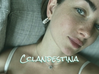 Cclandestina