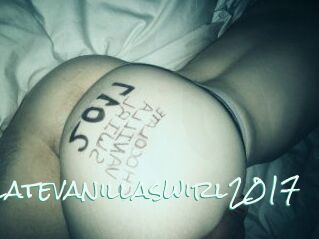 Chocolatevanillaswirl2017