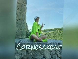 Cornesakeat