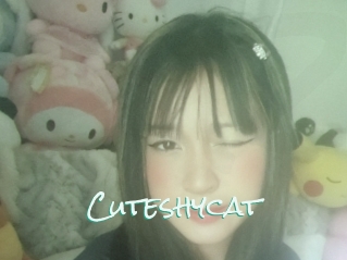 Cuteshycat