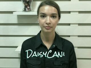 DaisyCani