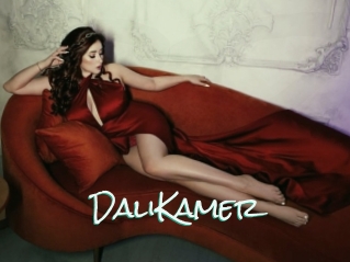 DaliKamer