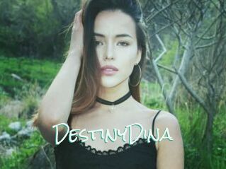 DestinyDina