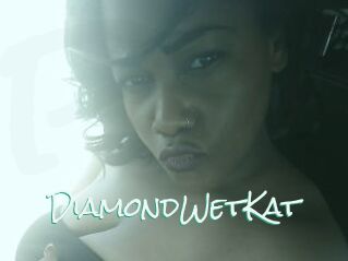 DiamondWetKat