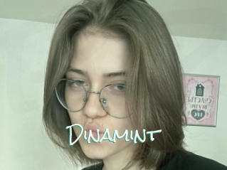 Dinamint