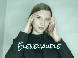 Elenecaudle