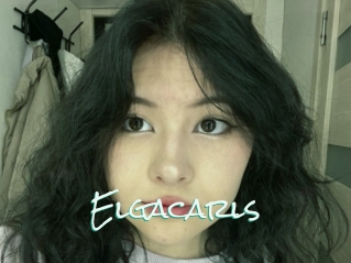 Elgacarls