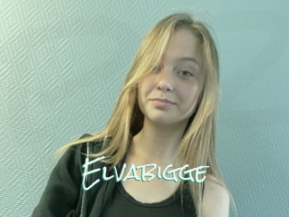 Elvabigge