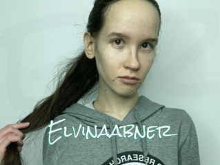 Elvinaabner