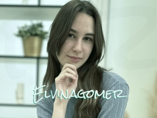 Elvinagomer