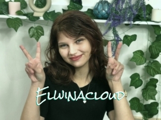 Elwinacloud