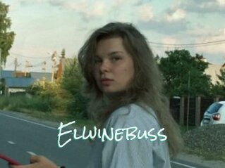 Elwinebuss