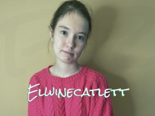 Elwinecatlett