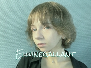 Elwinegallant