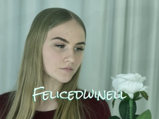 Felicedwinell