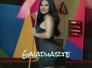 Gaiaduarte