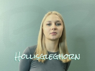 Hollisgleghorn