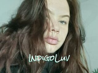 IndigoLuv