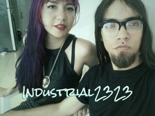 industrial2323 Preteen fucking