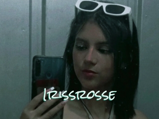 Irissrosse