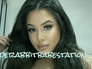 Jaderabbitbabestation