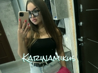 Karinamikus