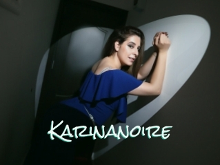 Karinanoire