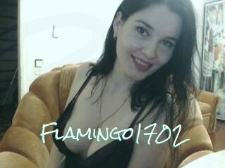 Flamingo1702