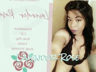 Lavender_Rose